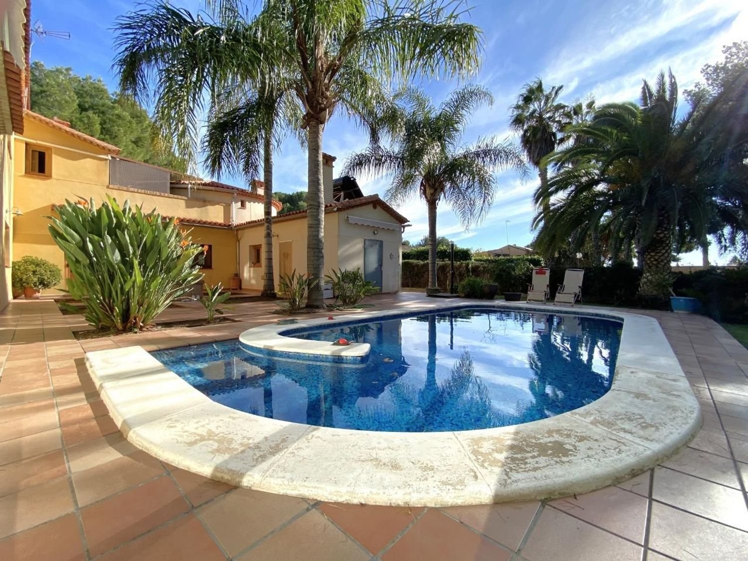 Villa La Torreta — piscina entre palmeras